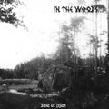 In The Woods... - Isle Of Men - Music CD