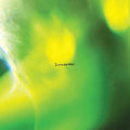 Sunnsetter - Best That I Can Be. - Music CD