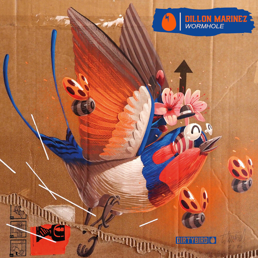 Wormhole [12" Vinyl] Vinyl Record