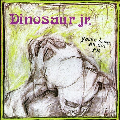 Dinosaur Jr - You're Living All Over Me - Music CD