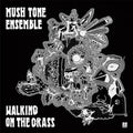 Mush Tone Ensemble - Walking On The Grass - Vinyl Record