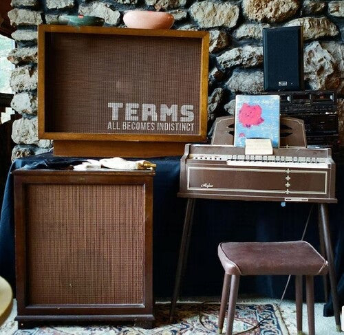 Terms - All Becomes Indistinct - Vinyl Record
