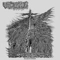 Vacuous - Dreams Of Dysphoria - Music CD