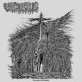 Dreams Of Dysphoria Music CD