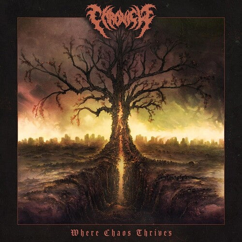 Chronicle - Where Chaos Thrives - Music CD