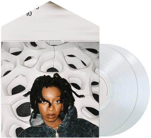 Little Simz - No Thank You - Vinyl Record