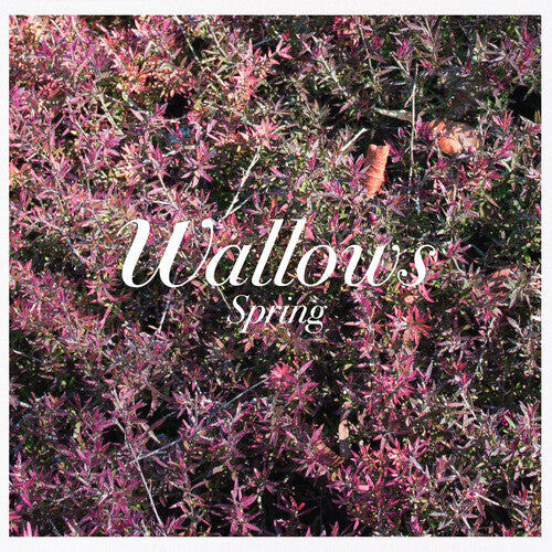 Wallows - Spring - Music CD