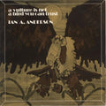 Anderson,ian A - Vulture Is Not A Bird You Can Trust - Vinyl Record