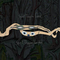 Animal Collective - Spirit They're Gone Spirit They've Vanished - Vinyl Record