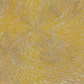 Pjev / Downes,kit / Chisholm,hayden - Medna Roso - Vinyl Record