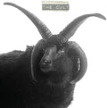 Cult - Cult - Vinyl Record