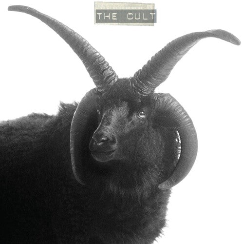 Cult - Cult - Vinyl Record