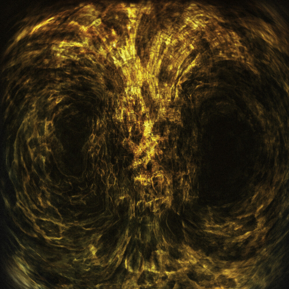 Iniquitous [LP] Vinyl Record
