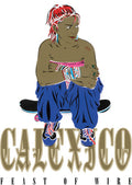 Calexico - Feast Of Wire - 20th Anniversary Deluxe Edition - Music CD