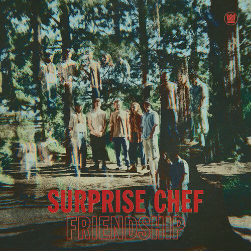 Surprise Chef - Friendship Ep - Vinyl Record