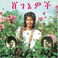 Ashine,aselefech - Beauties - Vinyl Record