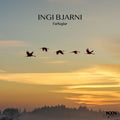Skulason,ingi Bjarni - Farfuglar - Music CD
