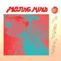 Melting Mind - At Grnd Zero - Music CD