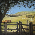 Collins,shirley - Archangel Hill - Music CD