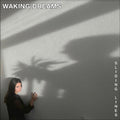 Waking Dreams - Sliding Lines - Vinyl Record
