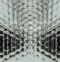 Foxx,john - Arcades Project - Music CD