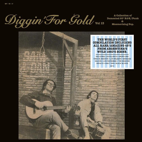 Diggin' For Gold Vol. 13 / Various - Diggin' For Gold Vol. 13 / Various - Vinyl Record