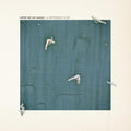 Here We Go Magic - Different Ship (sc25 Anniversary Exclusive) - Vinyl Record