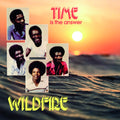 Wildfire - Time Is The Answer - Vinyl Record