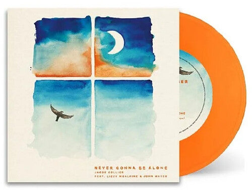 Collier,jacob - Never Gonna Be Alone - Vinyl Record