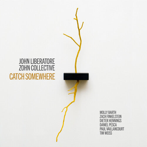 Liberatore / Barth / Nogal - Catch Somewhere - Music CD