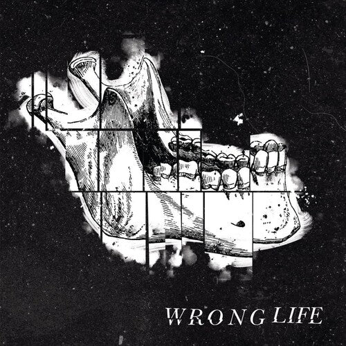 Wrong Life - Wrong Life - Vinyl Record