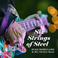 Robillard,duke - Six Strings Of Steel - Music CD