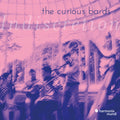 Curious Bards - Indiscretion - Music CD
