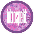 Introspekt - Temptation - Vinyl Record