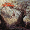 Phlebotomized - Clouds Of Confussion - Music CD
