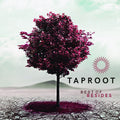 Taproot - Best Of Besides - Music CD