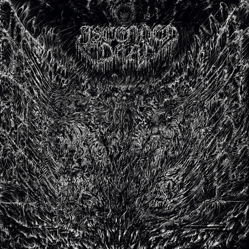 Ascended Dead - Evenfall Of The Apocalypse - Silver/black/white - Vinyl Record