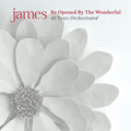 James - Be Opened By The Wonderful - Vinyl Record