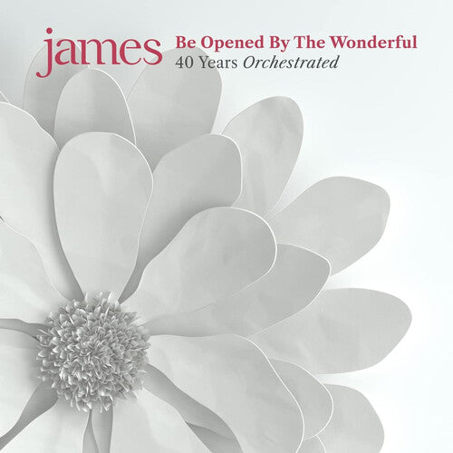 James - Be Opened By The Wonderful - Vinyl Record