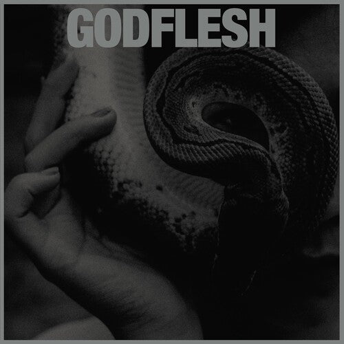 Godflesh - Purge - Vinyl Record