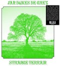 Jan Dukes De Grey - Strange Terrain - Vinyl Record