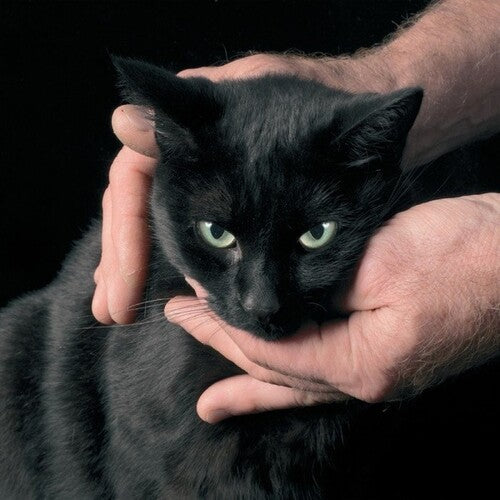 Kernel,peter - White Death Black Heart - Vinyl Record