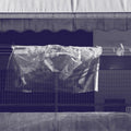 Dafeldecker,werner - Neural - Music CD