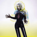 Bjork - Vulnicura - Vinyl Record