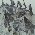 Wadirum [LP] Vinyl Record