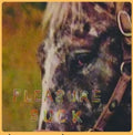 Spirit Of The Beehive - Pleasure Suck - Vinyl Record