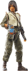 Sw Bl Pivot - Sw Bl Pivot - Collectibles