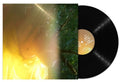 Holohan,tommy - Pulse Love : Heaven's Passage - Vinyl Record