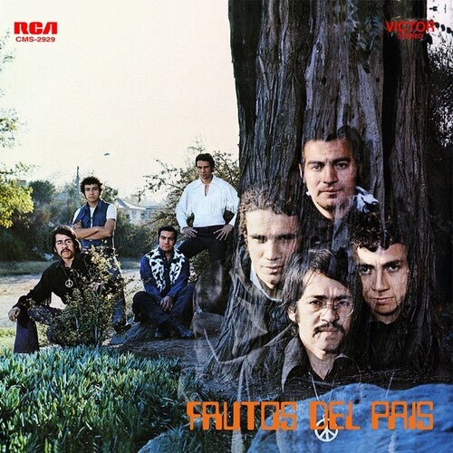 Frutos Del Pais - Frutos Del Pais - Vinyl Record