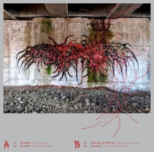 Schacke & Anetha - Looks Are Deceiving - Vinyl Record